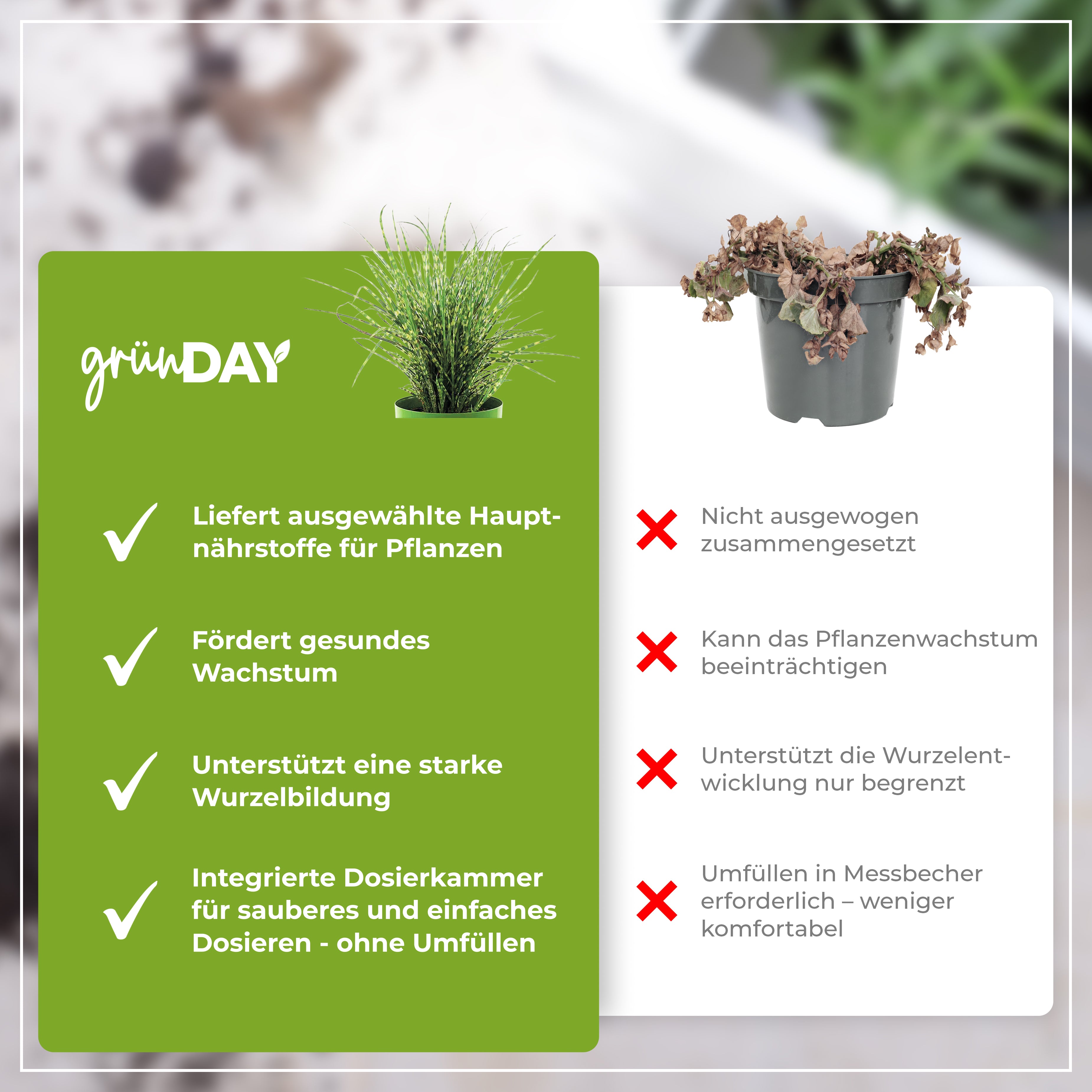 Gründay Zebragrasdünger – Produktansicht 6