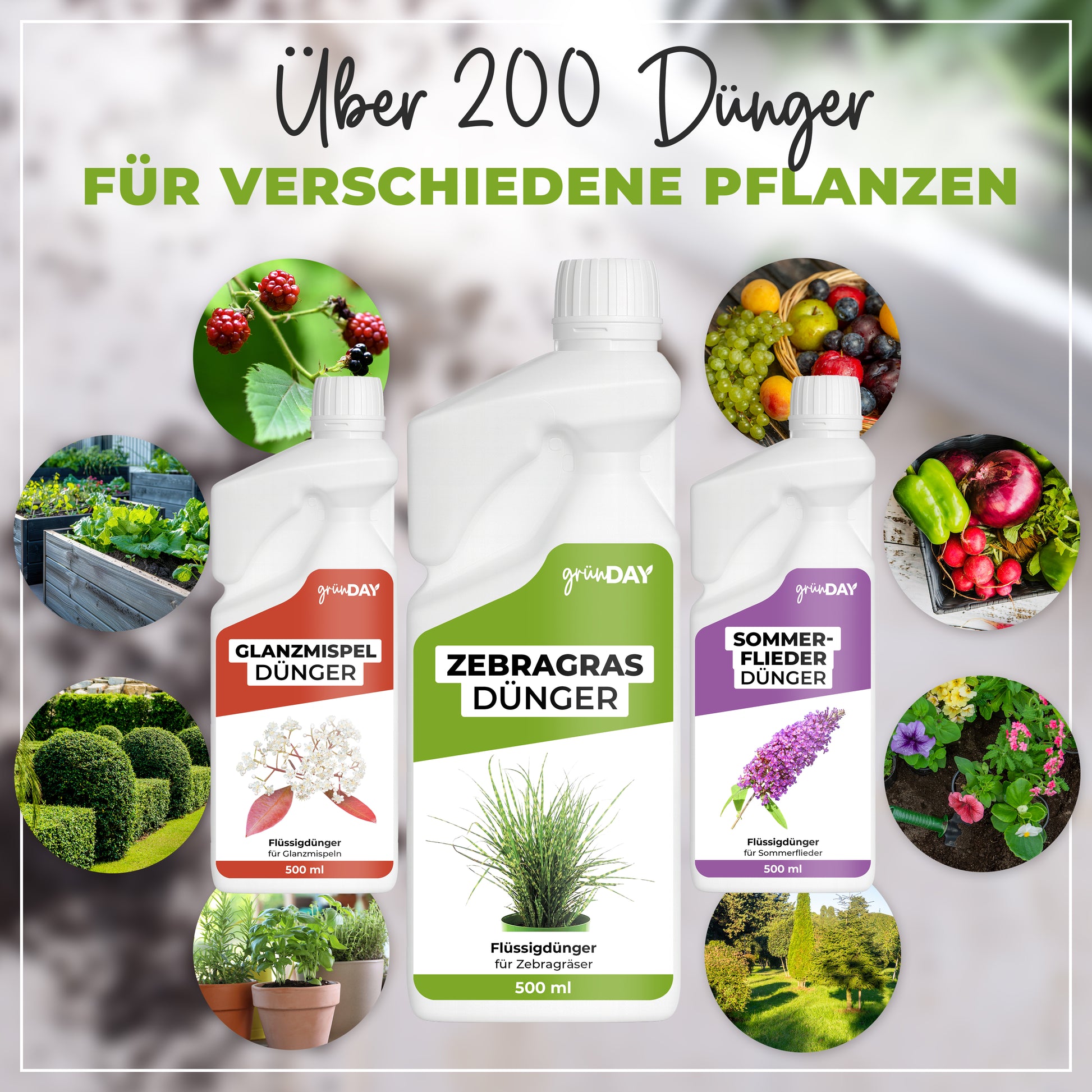 Gründay Zebragrasdünger – Produktansicht 7