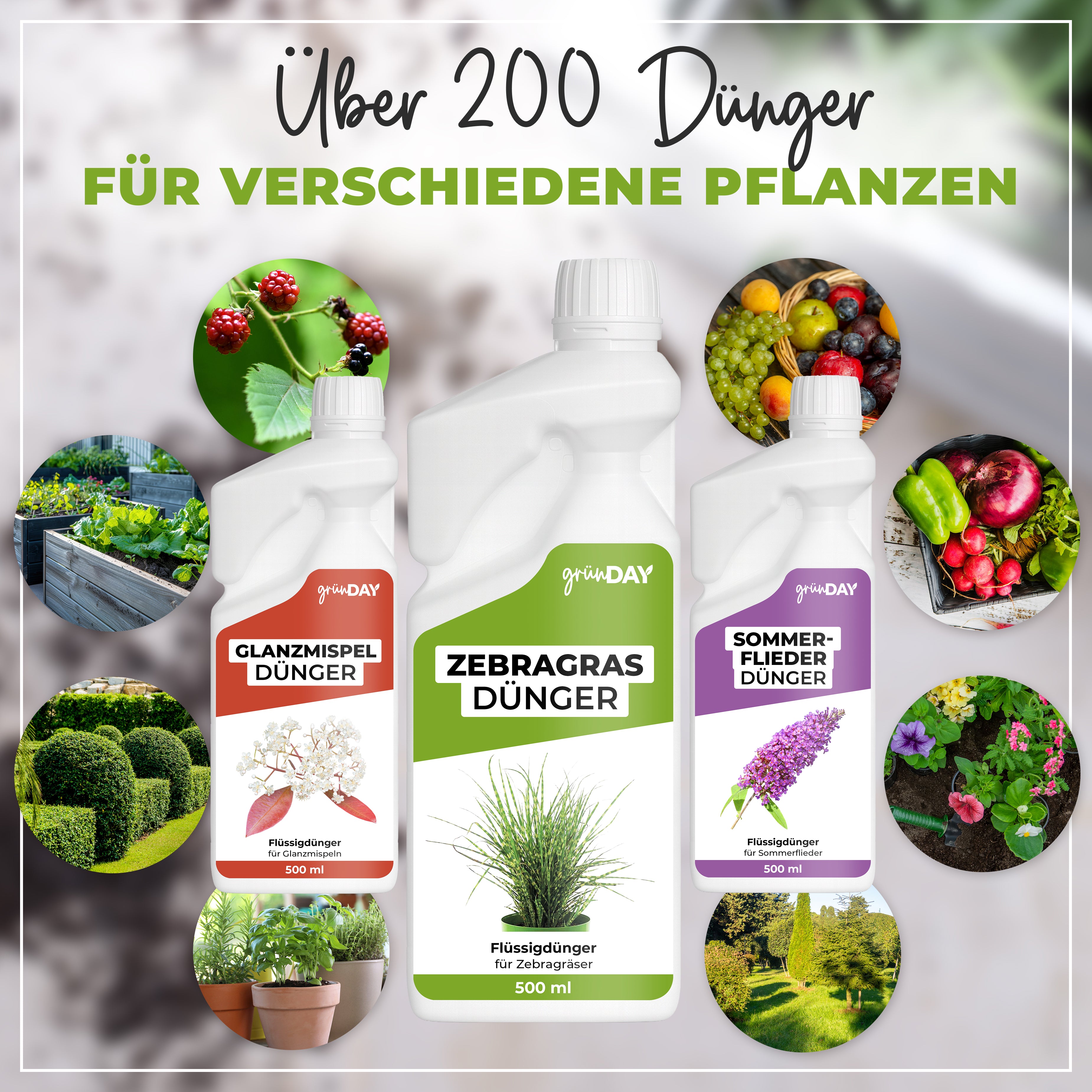Gründay Zebragrasdünger – Produktansicht 7