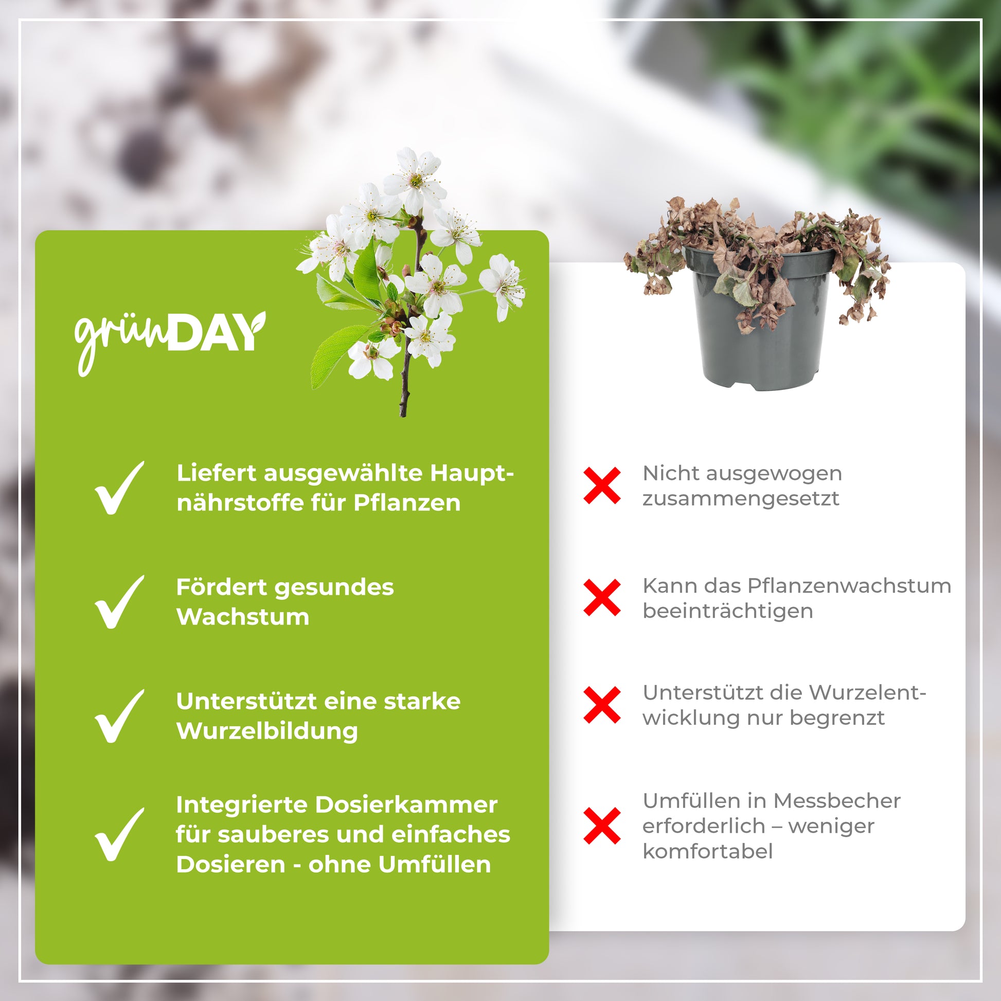 Gründay Zierapfel Dünger – Produktansicht 6
