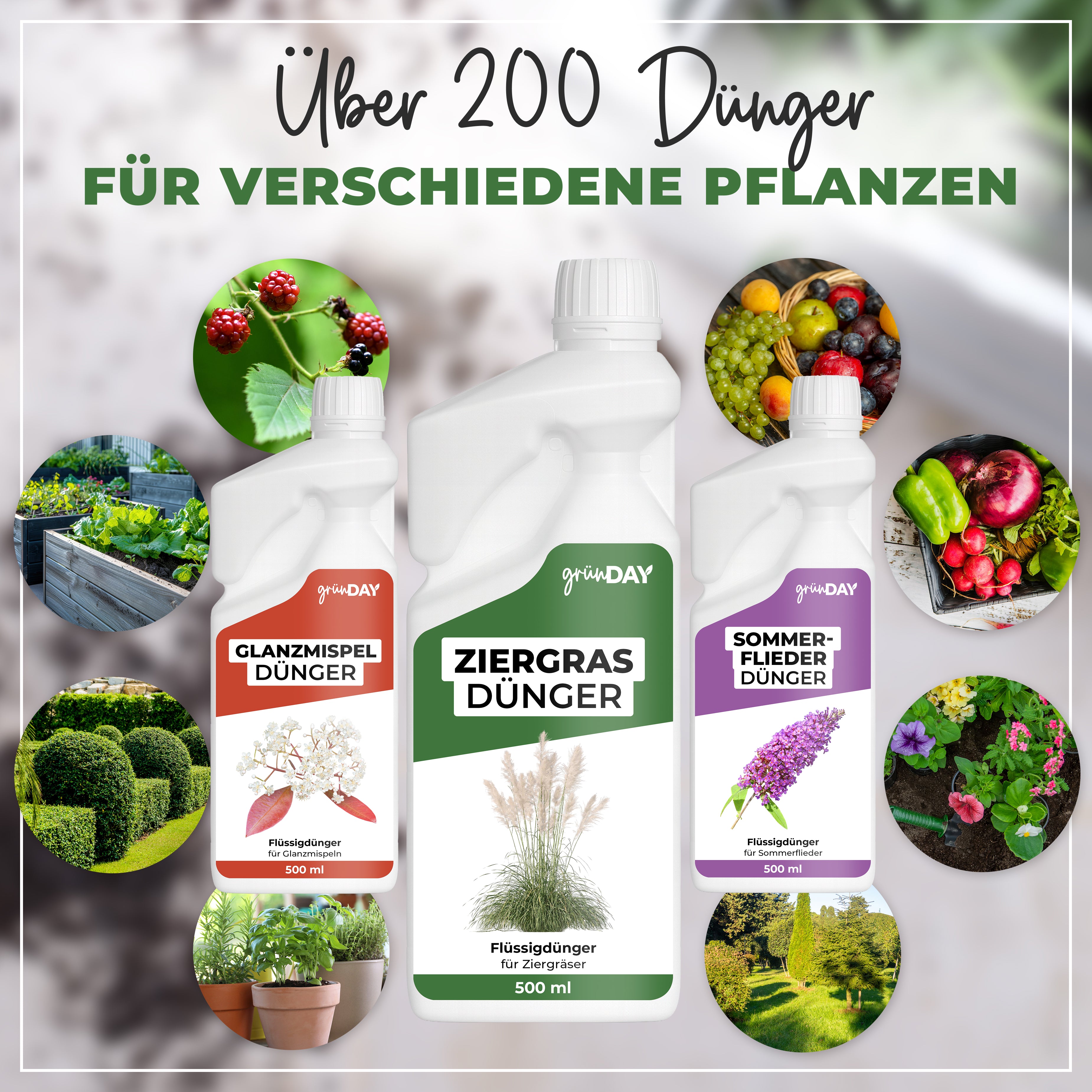 Gründay Ziergrasdünger – Produktansicht 7