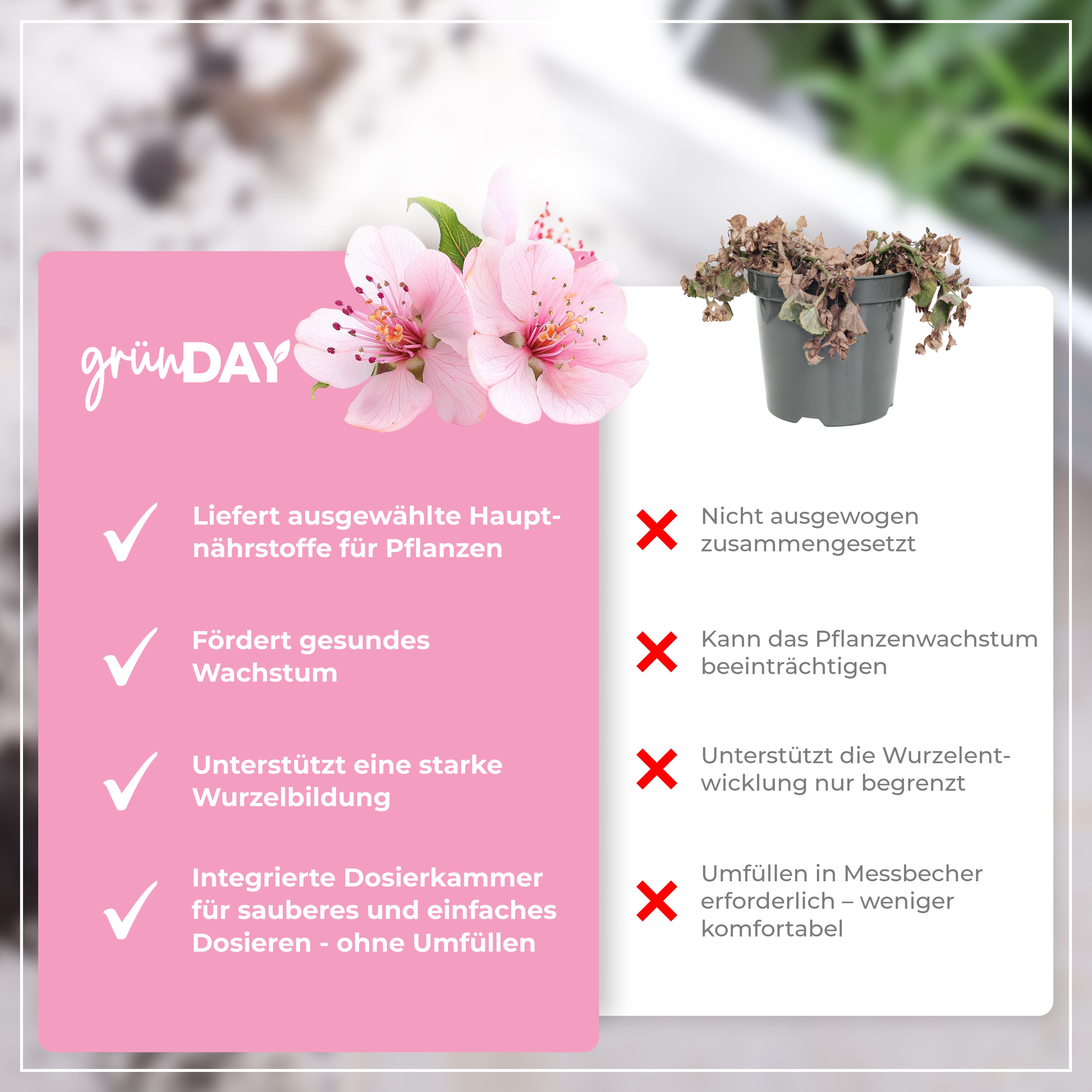 Gründay Zierkirsche Dünger – Produktansicht 6