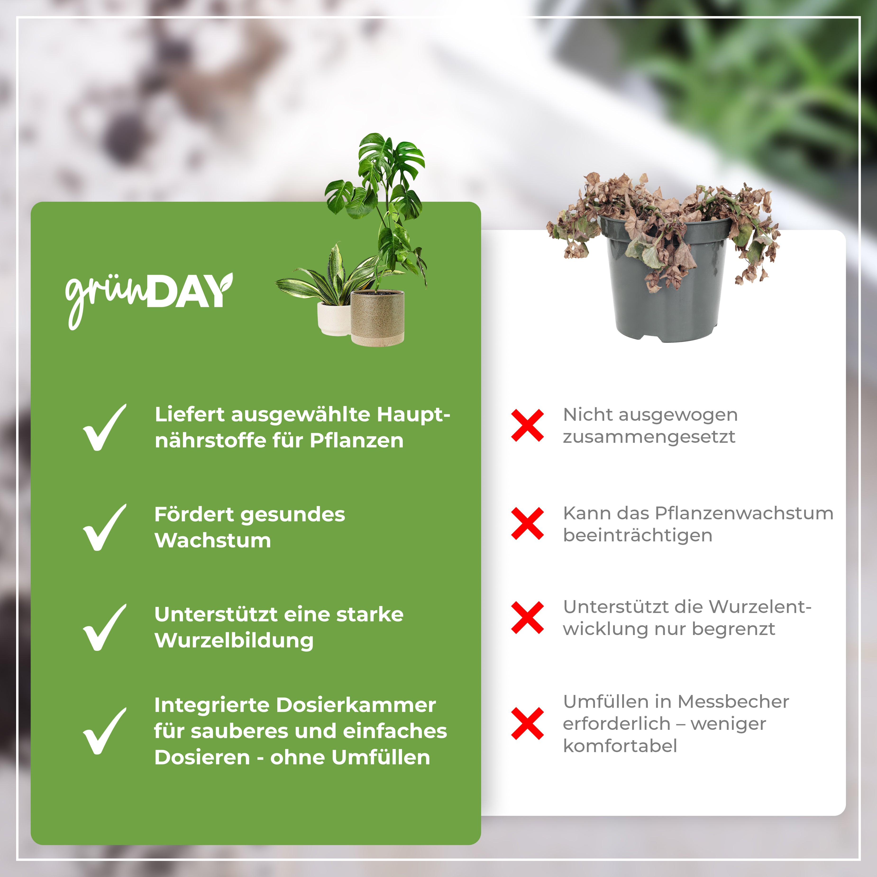 Gründay Zimmerpflanzendünger – Produktansicht 6