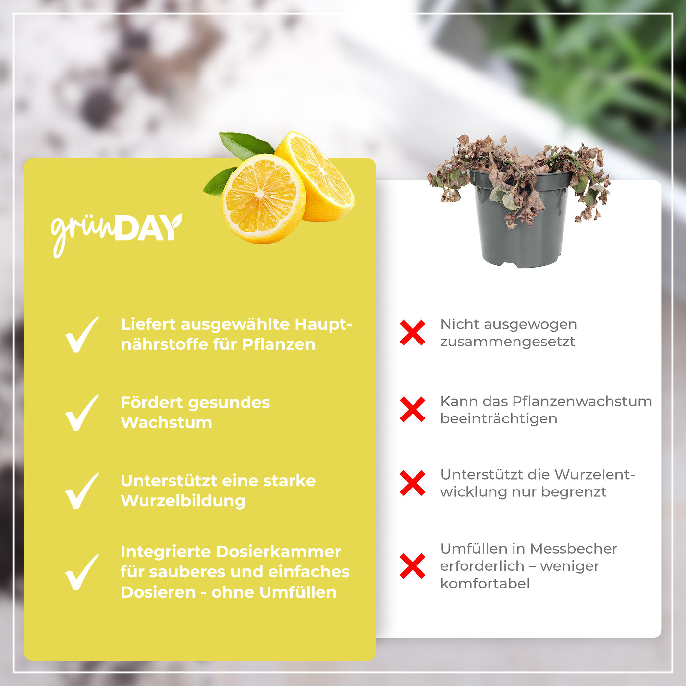 Gründay Zitronenbaumdünger – Produktansicht 6