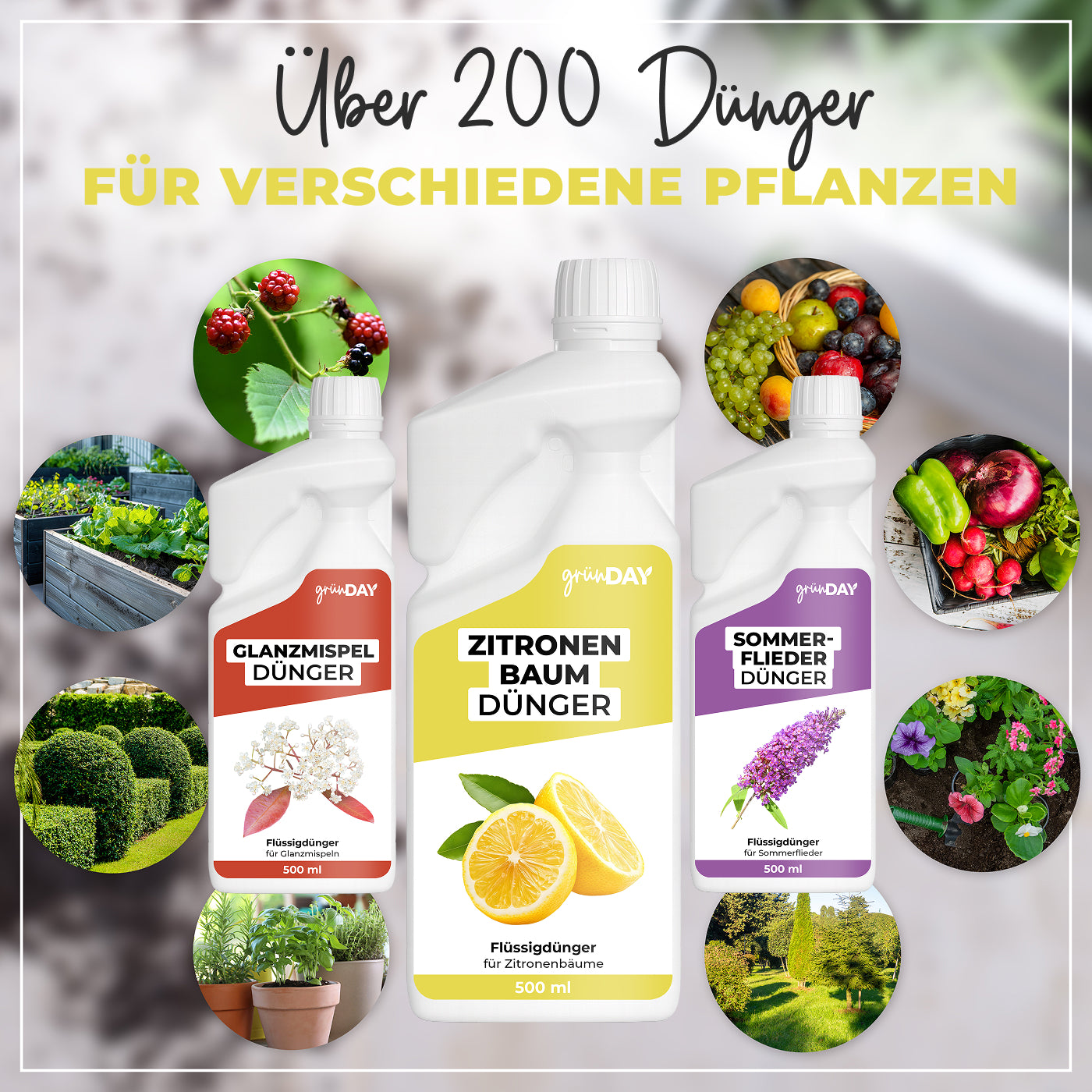 Gründay Zitronenbaumdünger – Produktansicht 7