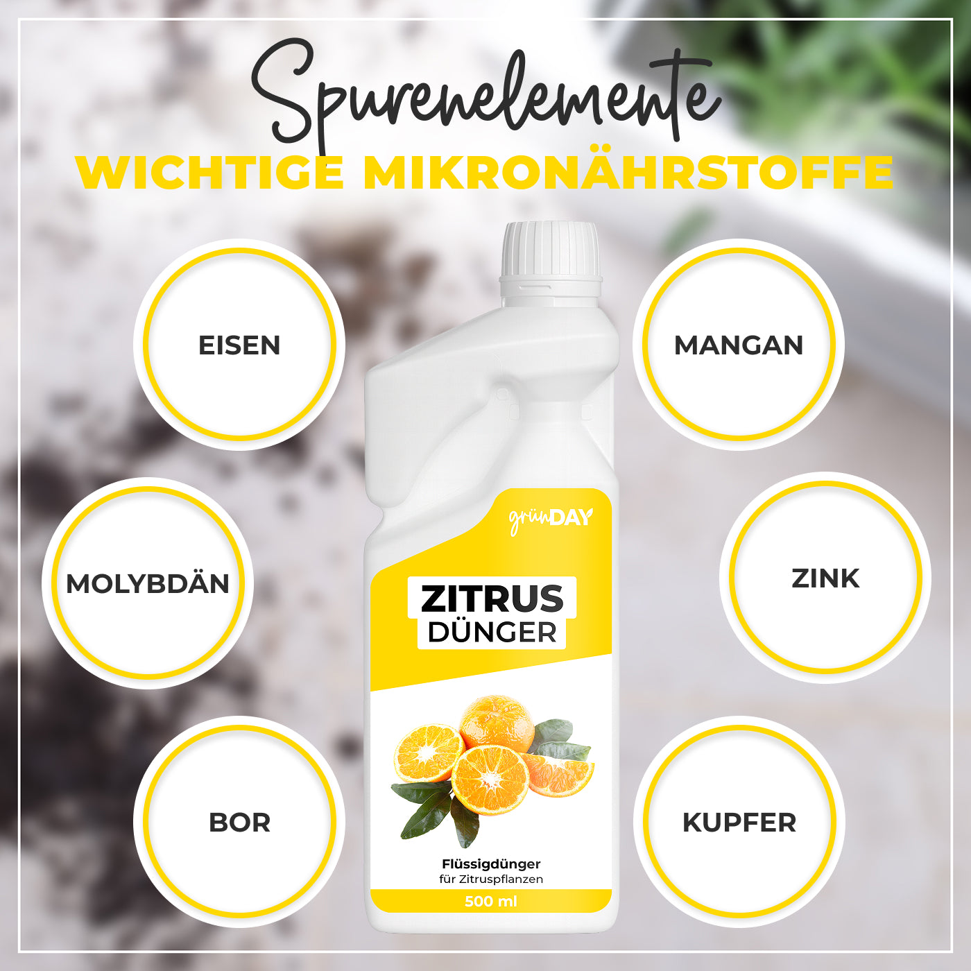 Gründay Zitrusdünger – Produktansicht 5