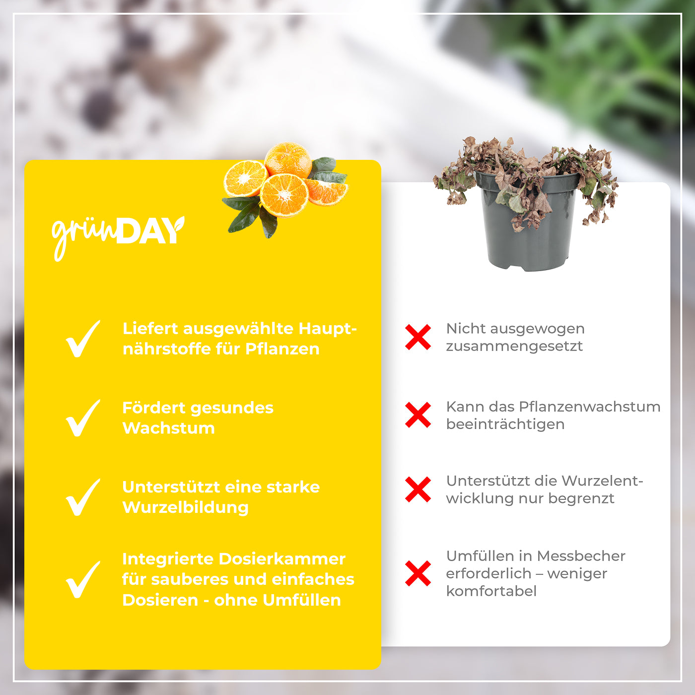 Gründay Zitrusdünger – Produktansicht 6