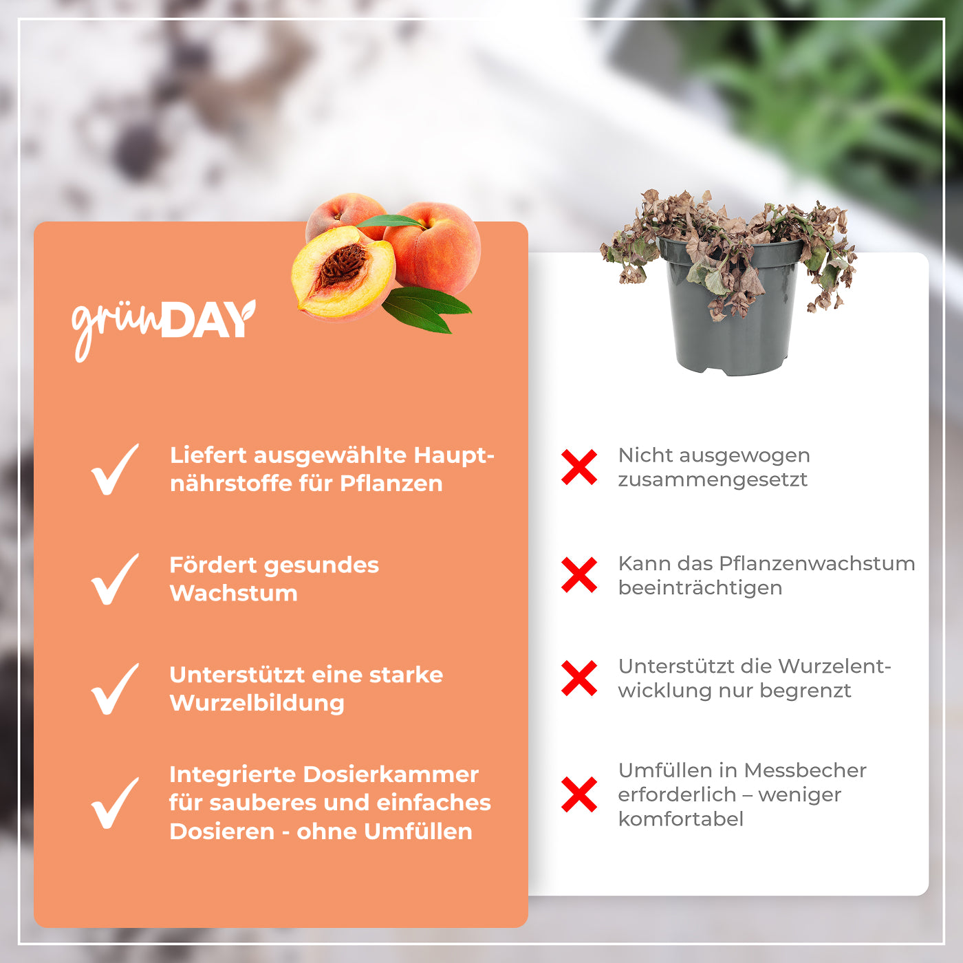 Gründay Zwergpfirsichdünger – Produktansicht 6