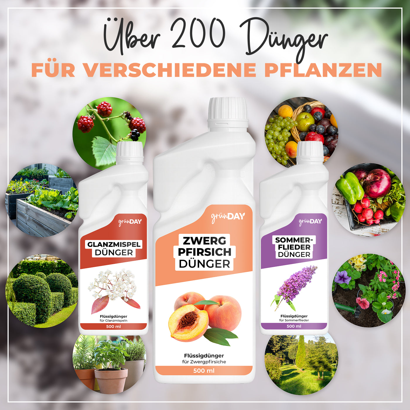 Gründay Zwergpfirsichdünger – Produktansicht 7