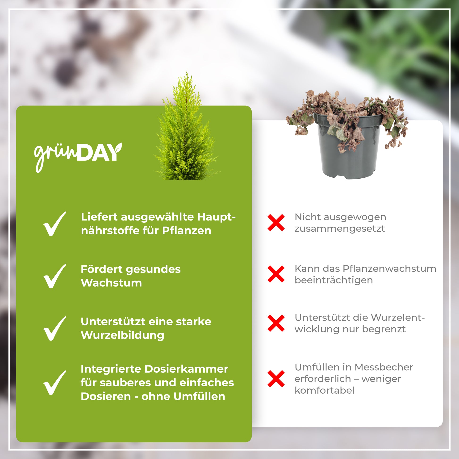 Gründay Zypressendünger – Produktansicht 6