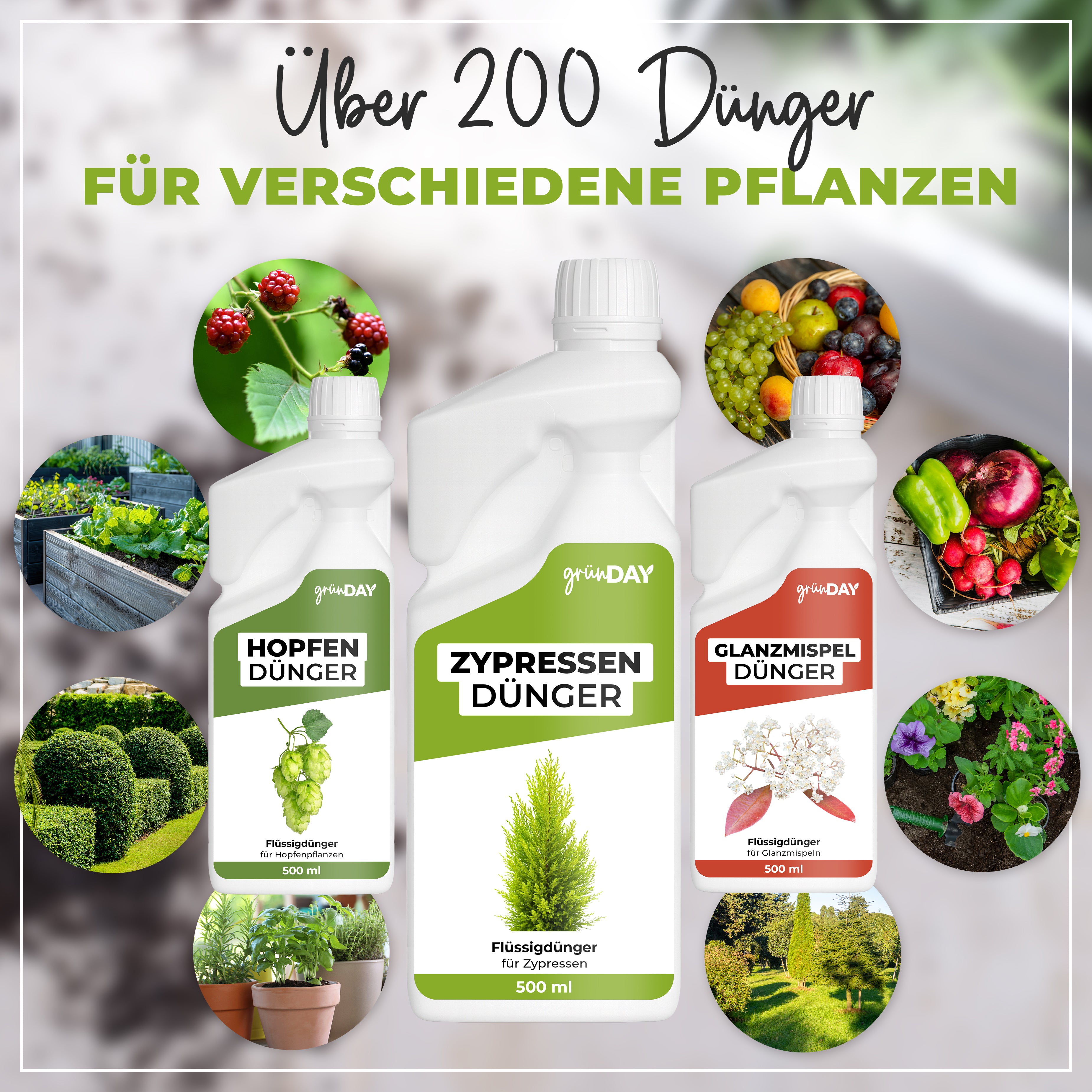 Gründay Zypressendünger – Produktansicht 7