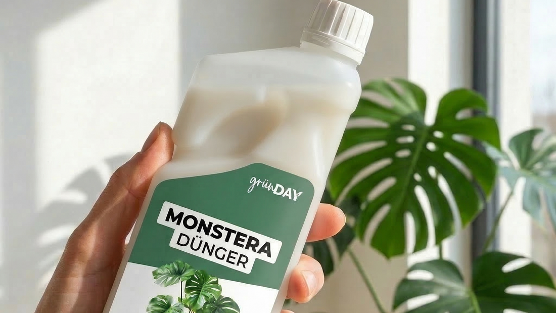 <strong>2. Schritt</strong>